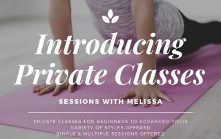 private classes at colorado yoga house