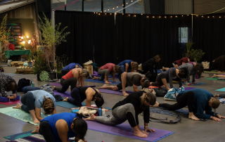 yoga and flexibility