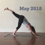 3 legged dog may 2018 before yoga house